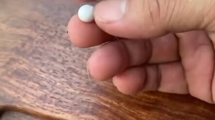 Selamat, ini adalah bayi prematur