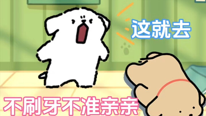 小白为什么不和小鸡毛亲亲了