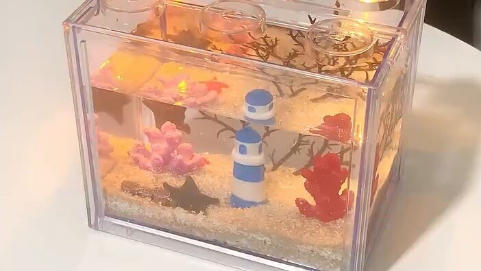 Cậu bé đã nuôi Patrick Star của riêng mình. Cậu ấy thật dễ thương.