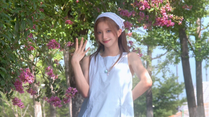 Bánh cupcake việt quất xuất kích! magnetic-illit