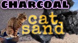 CHEAPEST CATSAND USING CHARCOAL AND BAKING SODA