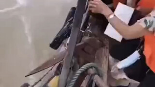 上午来，中午喝，晚上走
