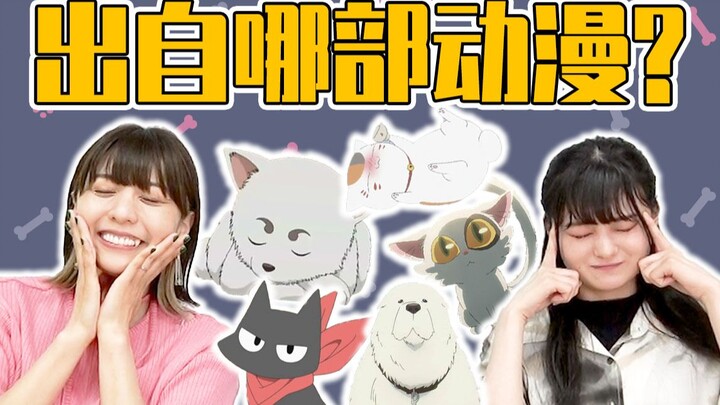 [Toyosaki Aiko & Tachibana Mirai] Bài kiểm tra chuyên gia hoạt hình! Những chú chó và mèo này là từ 