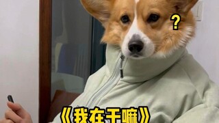 谢谢你给我做人的机会