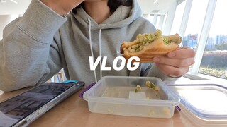 Dory｜Menjadi dewasa itu menyenangkan! Kehidupan mandiri yang bebas dan leluasa｜Seminggu berendam di 