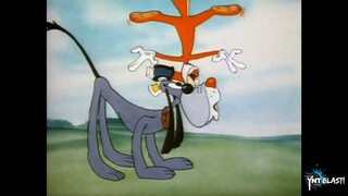 Classic Cartoon - Nutty Squirrel