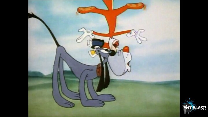 Classic Cartoon - Nutty Squirrel