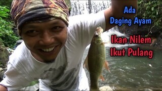 Ikan Nilem Disini Belum Mengenal Umpan Daging Ayam, Sekali Dicoba LIHAT HASILNYA BROO