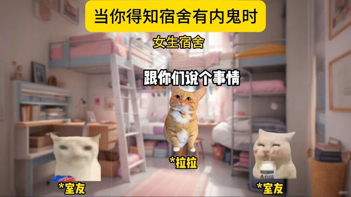 When you realize there's a spy in the dormitory