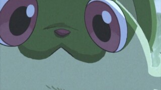 Mèo Lá Mới đánh thức tôi dậy mỗi sáng [Pokémon sleep/chuyển video chính thức]