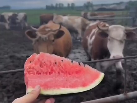نيو: هل يمكنك أن تكون إنسانًا؟