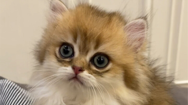 เด็กผู้ชายกับเด็กผู้หญิงมีความแตกต่างกันมากขนาดนี้เลยเหรอ