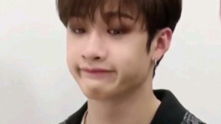 Chú sói con bị ong đốt