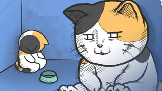 会让猫咪感觉被抛弃的几个瞬间｜宠物知识科普动画