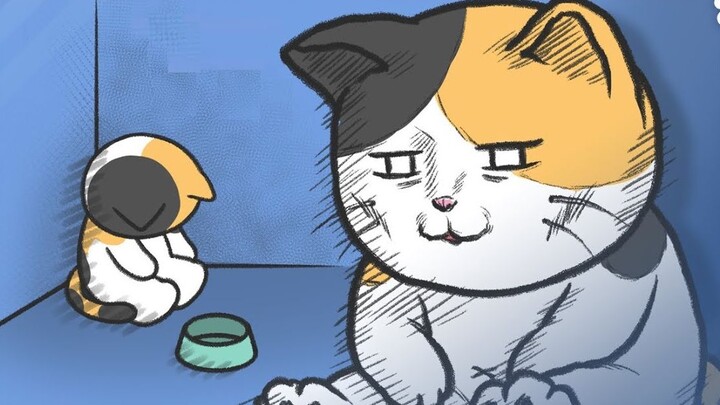 Moments that make cats feel abandoned｜Pet knowledge animation