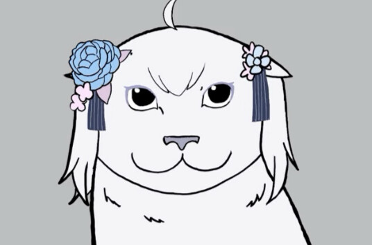 这是一只比较稀有的小猫咪