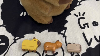 أي سكين جزر كابيبارا ستختار من بين الثلاثة؟