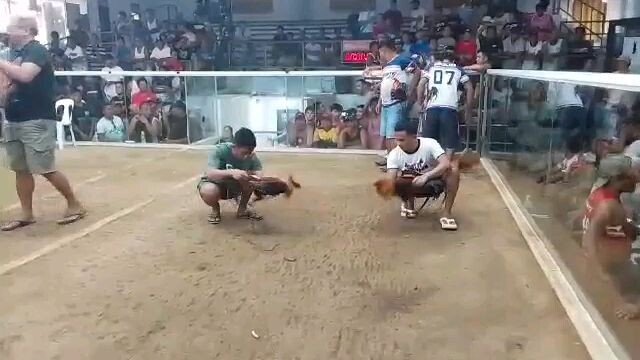 doyti game farm 💪❤️