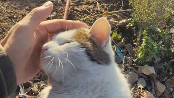 ตกปลาได้น้อยแต่ได้เพื่อนใหม่มาหลายคนเลย!