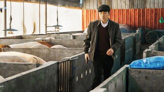 天王为拿影帝体验农村生活！刘德华宁浩喜剧《红毯先生》新预告，2024春节档大年初一上映