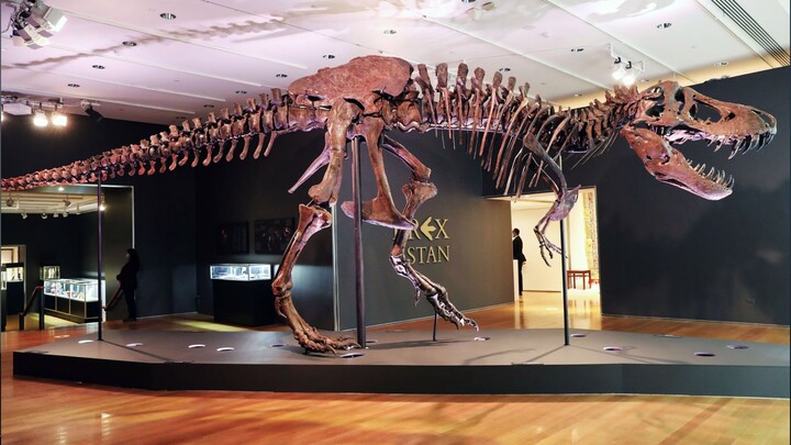 Os dinossauros realmente existiram?