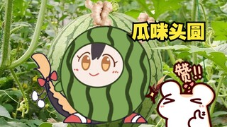 【Bison仓鼠】瓜咪头圆