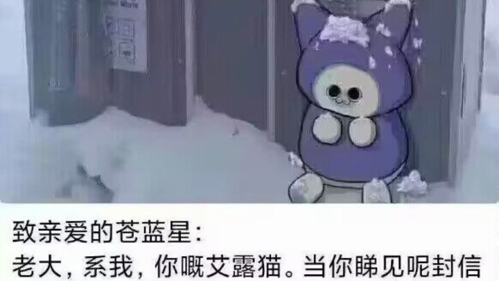 Kak… Kamis Gila traktir aku 50 yuan, miaw