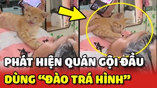 Phát hiện quán gội đầu sử dụng "ĐÀO TRÁ HÌNH" để dụ dỗ khách 😂 | Yêu Lu