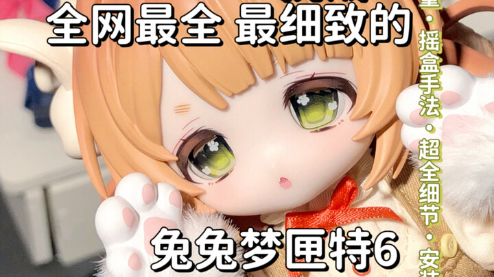 Challenge: The most comprehensive and detailed unboxing review of the Rabbit Dream Box Special 6 BJD