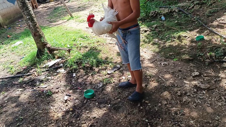 Melsim Grey VS White spar