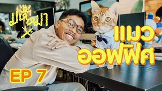 มหึหมาX EP7 - ออฟฟิศในฝัน พนักงานเป็นแมว! (EN)