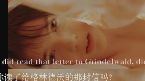 [Original description GGAD collection] "Grindelwald, you can't imagine how his thoughts attracted me