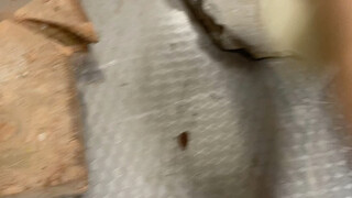女友6的馍，就像我们的感情一样坚不可摧……