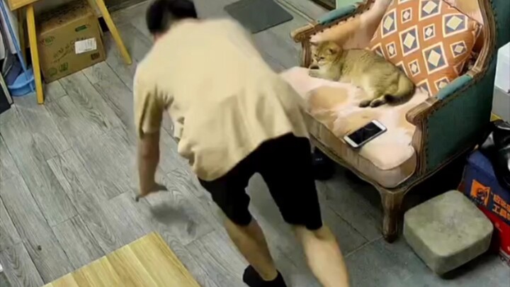 “Phát lại vòng loại”