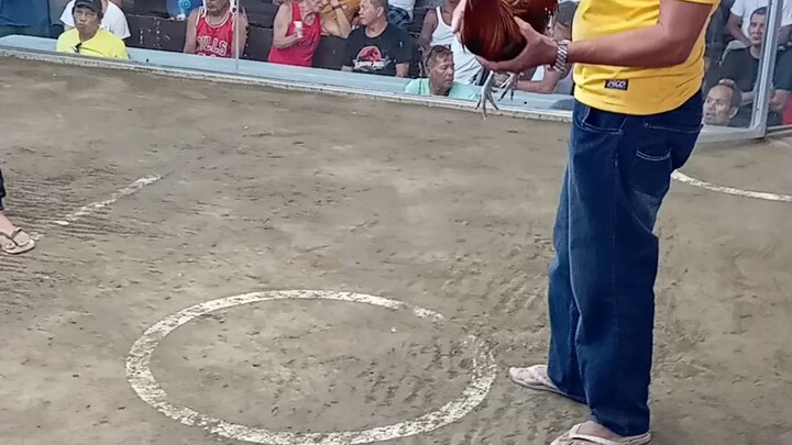 Guiguinto cockpit arena