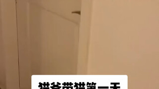 เมื่อภรรยาขอให้สามีเลี้ยงแมวที่บ้าน