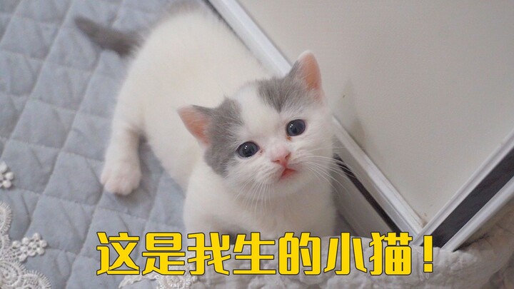 Don’t listen to random people online—this little cat is my own flesh and blood!