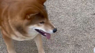 Mom's big boy (come out and play)