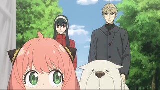 Spy × Family S3 Episode 1 sub indonesia
