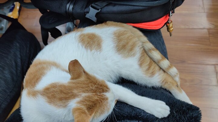 "เกี่ยวกับการถูกเลือกโดยเหมาเหมาครึ่งชั้นเรียน"