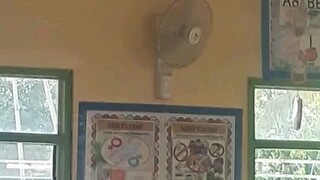 Hanabishi Wall Fan