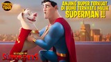 SUPERMAN, BATMAN, AQUAMAN, WONDERWOMAN PUNYA PELIHARAAN SUPER JUGA!! - DC LEAGUE OF SUPER PETS