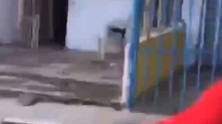 đặc sản vn