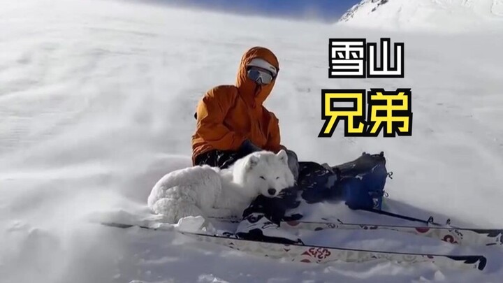 Mind-Blowing Animal Videos That’ll Leave You in Awe!