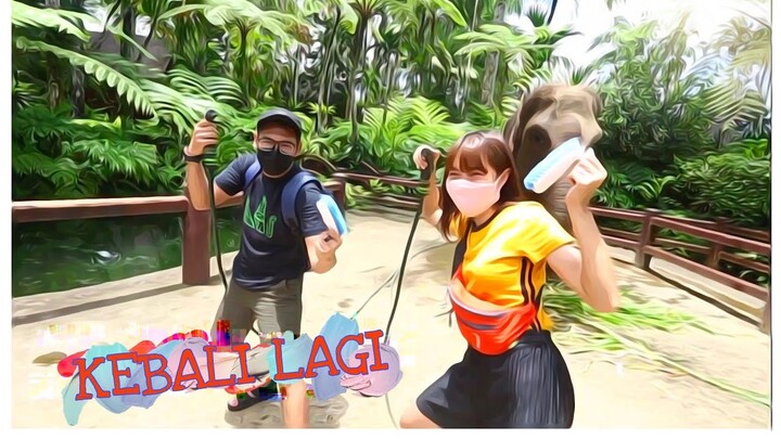 KEBALI LAGI EPS 3