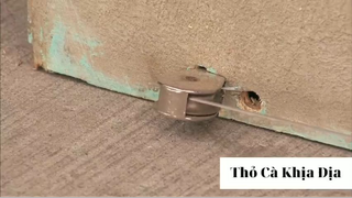 Trò đùa 2021 phần 66 #thobiettroll