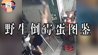 【野生人类图鉴】倒霉蛋：人人都说我倒霉，我只是幸运的不够明显
