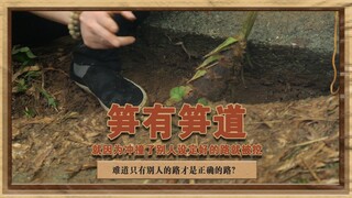 Bamboo shoots have their own way. Because they bump into other people's paths, bamboo shoots become 