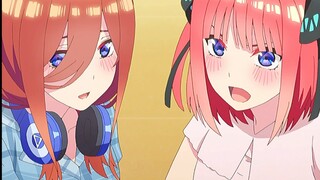 [The Quintessential Quintuplets] Tổng hợp