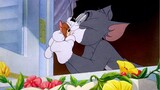 "Khi Tom muốn hôn Jerry, hãy bắt lấy anh ấy ngay"